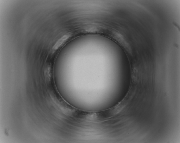 X0000103500116200809191954