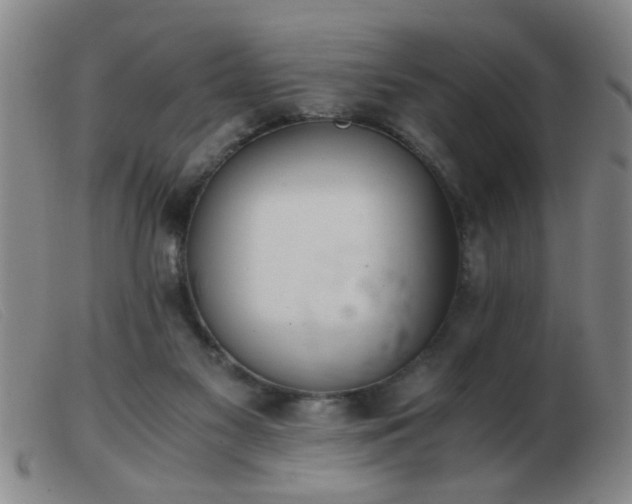 X0000103500117200809191954