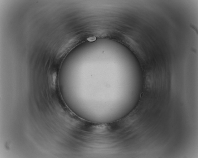 X0000103500118200809191954