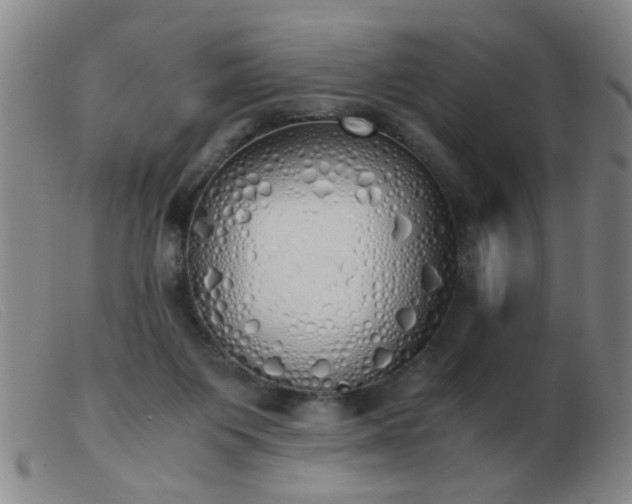 X0000103500119200809191954