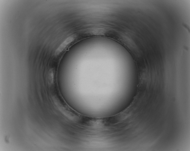 X0000103500120200809191954