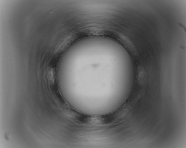 X0000103500121200809191954