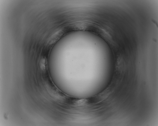 X0000103500122200809191954