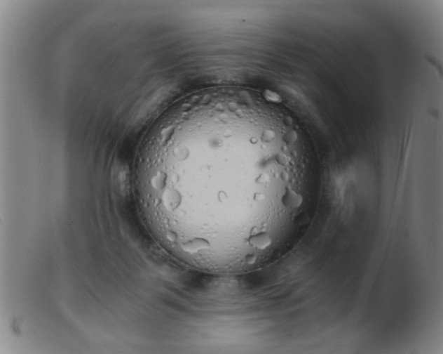 X0000103500123200809191954