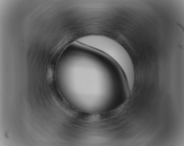 X0000103500124200809191954