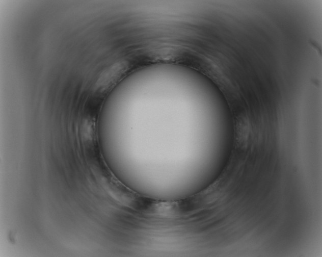 X0000103500126200809191954