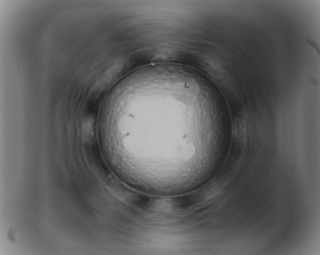 X0000103500127200809191954