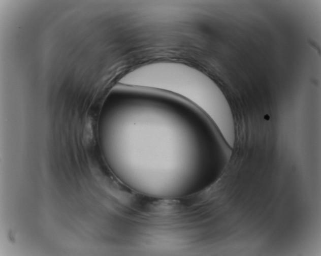 X0000103500128200809191954