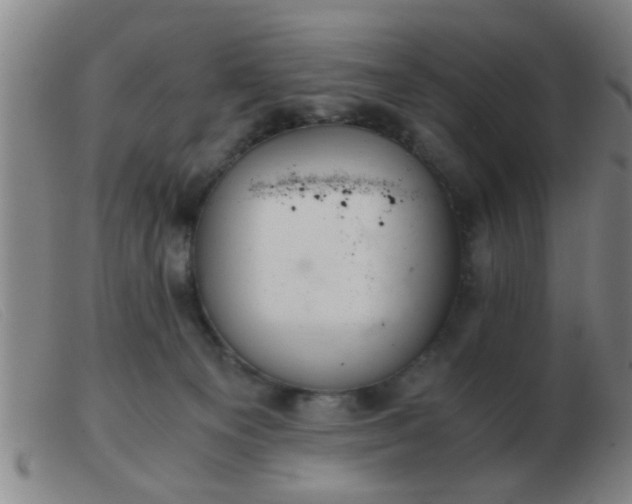 X0000103500129200809191954