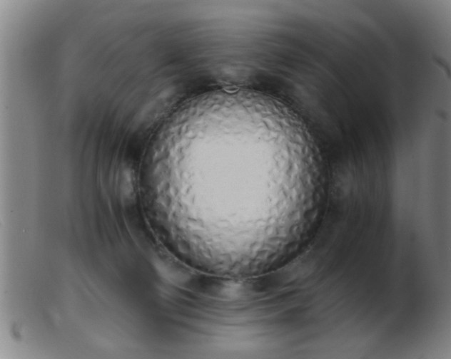 X0000103500130200809191954