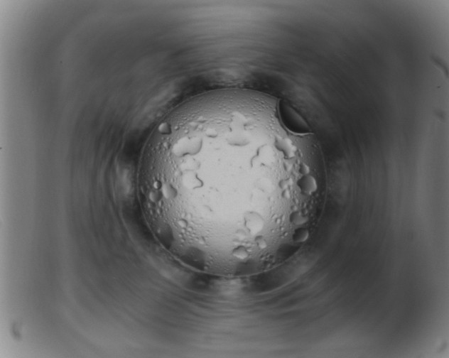 X0000103500131200809191954