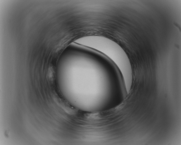 X0000103500132200809191954