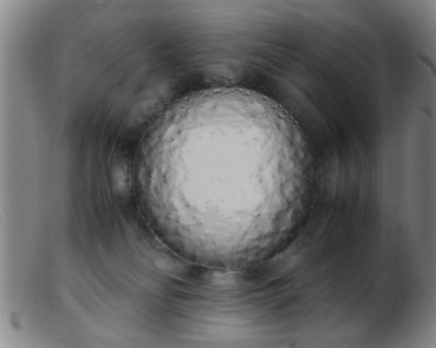 X0000103500134200809191954