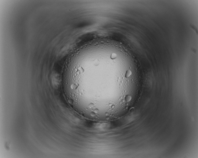 X0000103500135200809191954