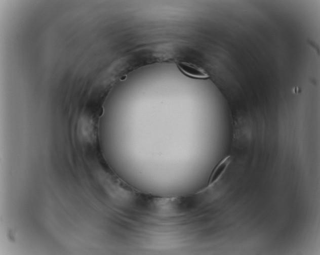 X0000103500136200809191954