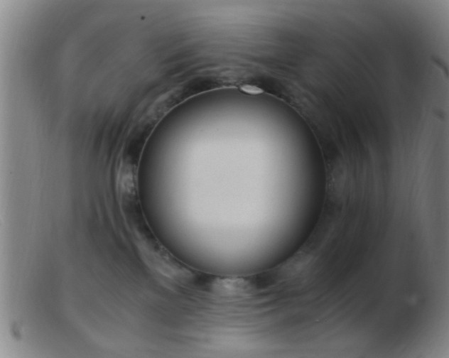 X0000103500137200809191954