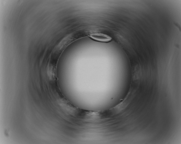 X0000103500140200809191954