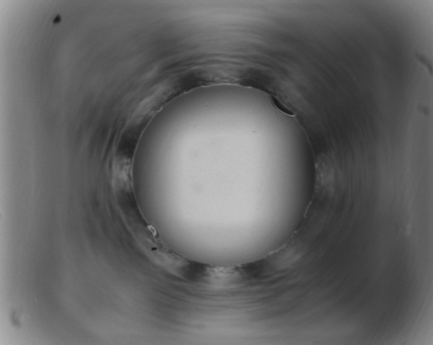 X0000103500141200809191954