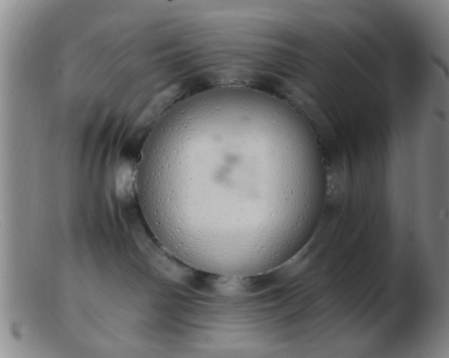 X0000103500142200809191954