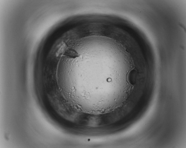 X0000103500143200809191954