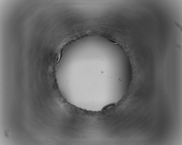 X0000103500144200809191954