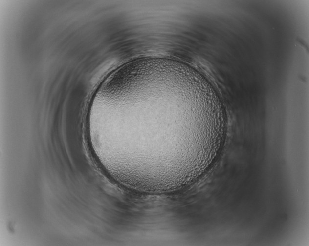 X0000103500145200809191953