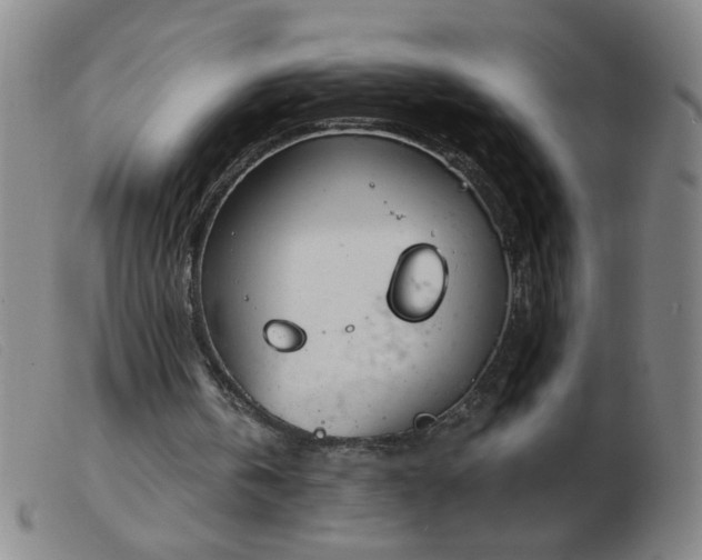 X0000103500146200809191953