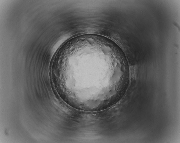 X0000103500147200809191953