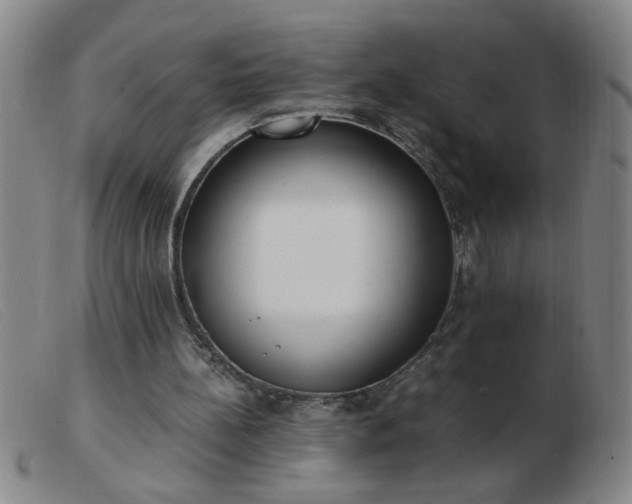 X0000103500148200809191953