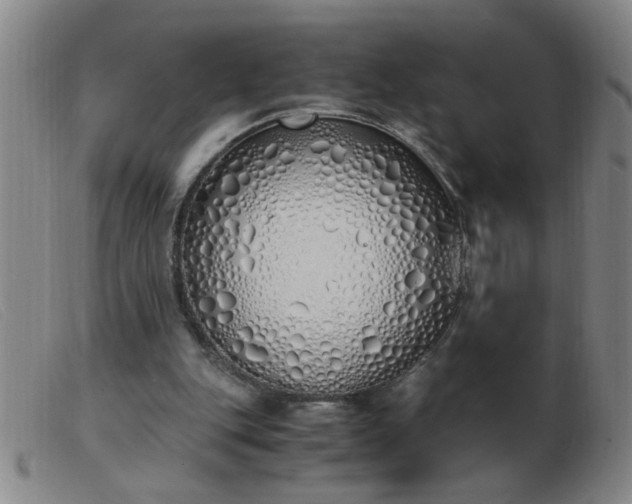 X0000103500151200809191953