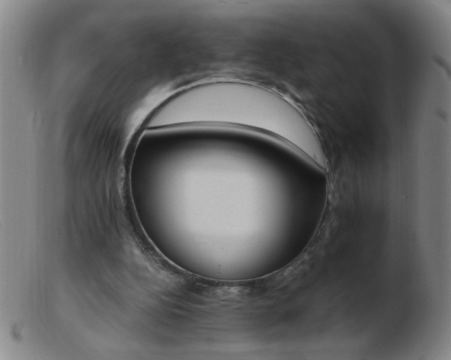 X0000103500152200809191953