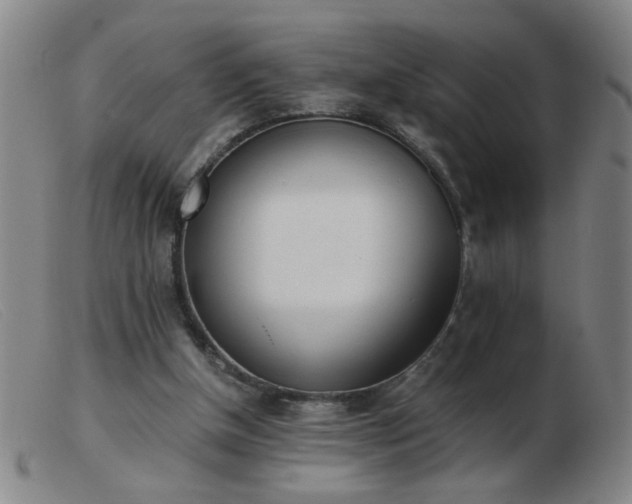 X0000103500154200809191953