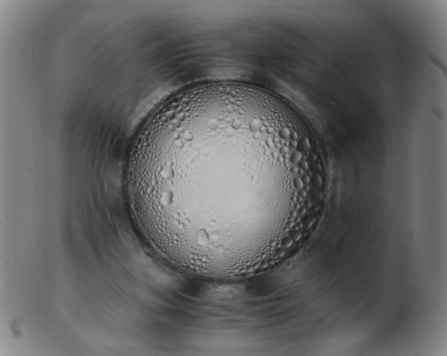 X0000103500155200809191953