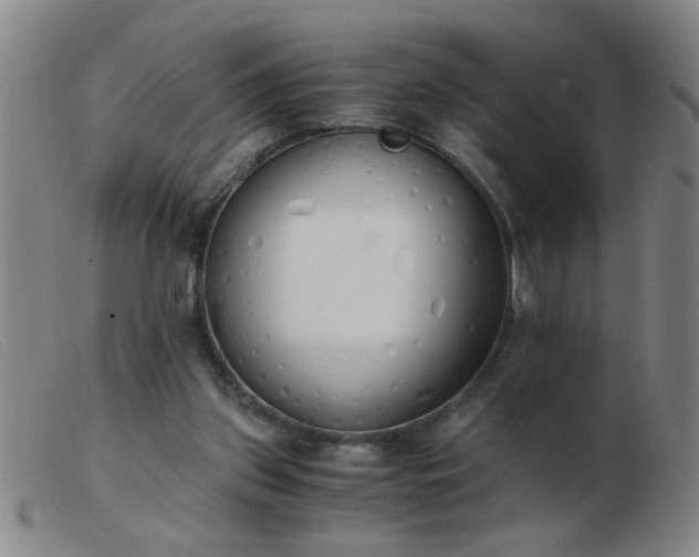 X0000103500157200809191953