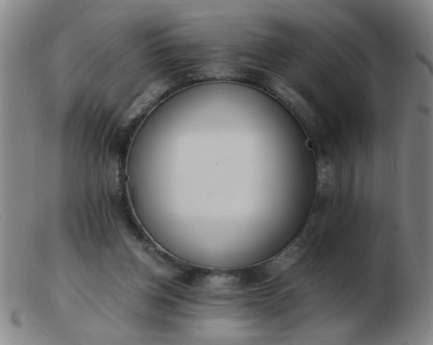 X0000103500158200809191953