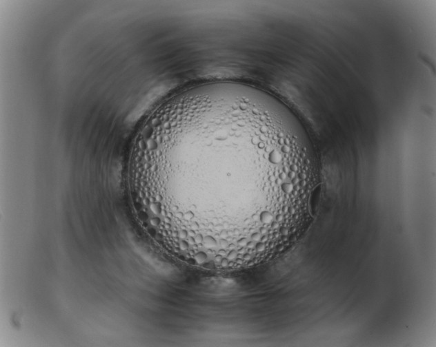 X0000103500159200809191953