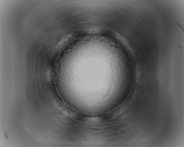 X0000103500161200809191953