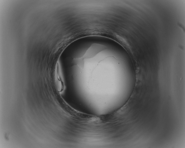 X0000103500162200809191953