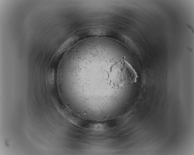 X0000103500163200809191953