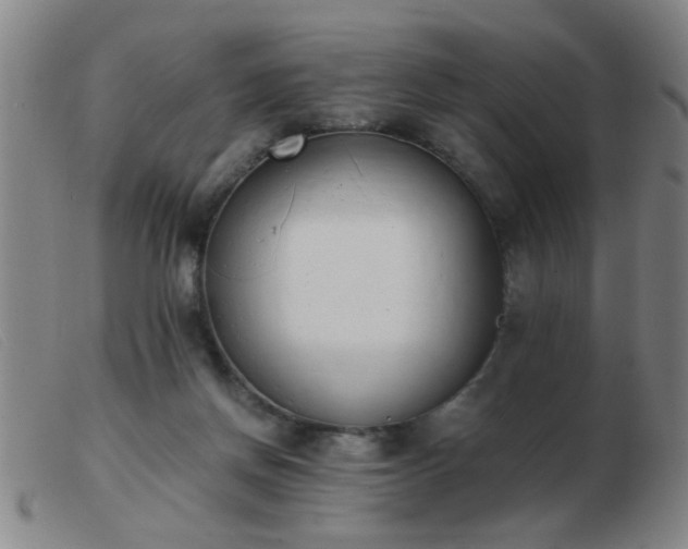 X0000103500166200809191953