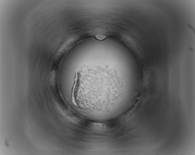 X0000103500167200809191953