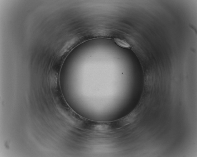 X0000103500168200809191953