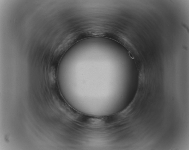 X0000103500170200809191953