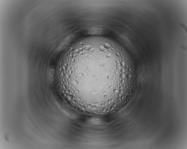 X0000103500171200809191953