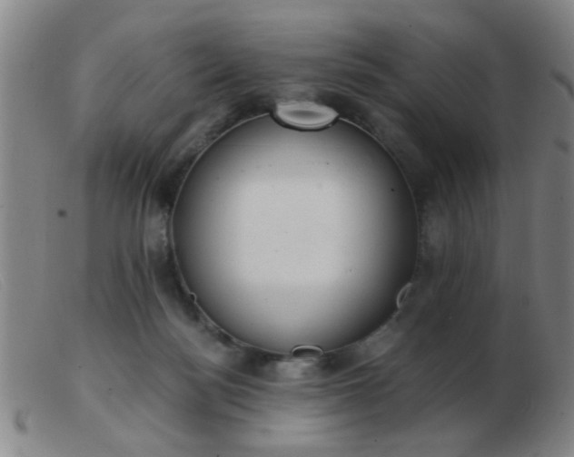 X0000103500172200809191953