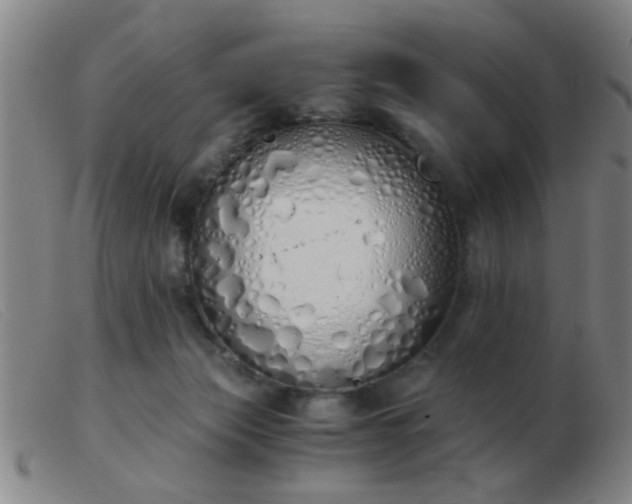 X0000103500173200809191953