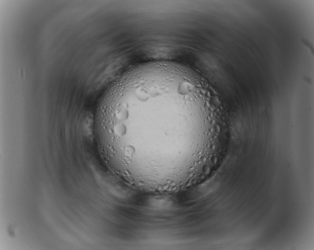 X0000103500175200809191953