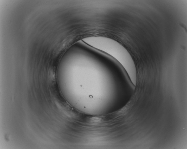 X0000103500176200809191953