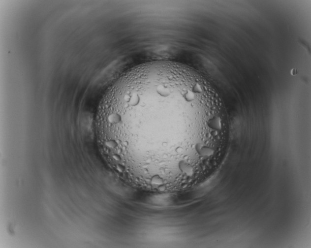 X0000103500178200809191953