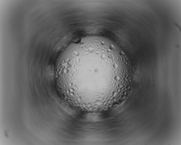 X0000103500179200809191953